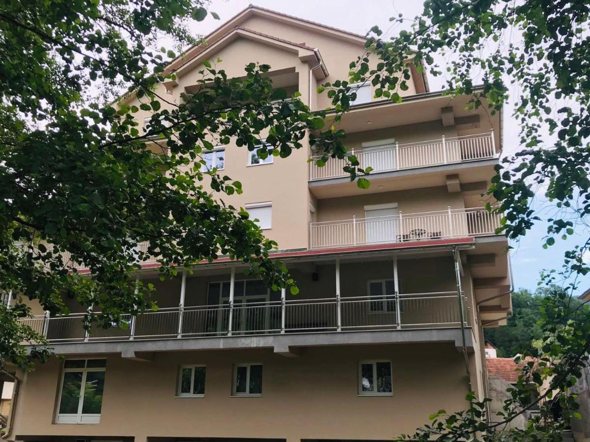 Apartmani & Spa Matin Breg Josanicka Banja Luaran gambar